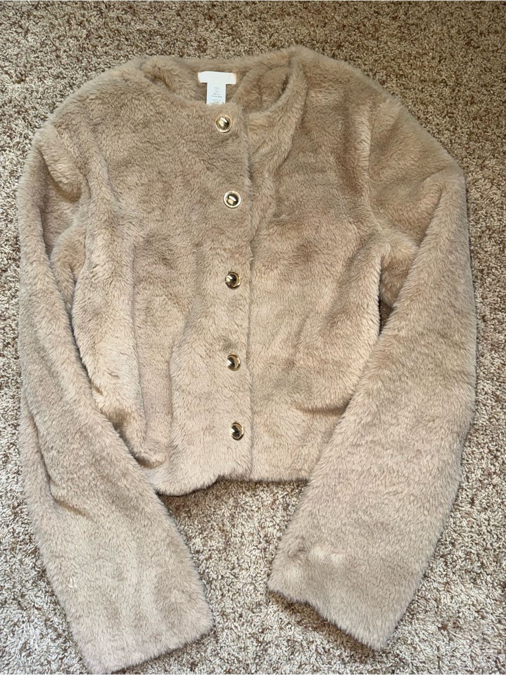 H&M Beige Faux Fur Button-Up Jacket